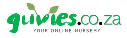 Guvie's Online Nursery Logo