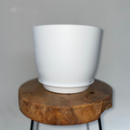Self-Watering Plant Pot