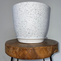 Self-Watering Plant Pot