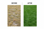 Lawn Dressing  | Guvies