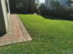 kikuyu lawn by paving